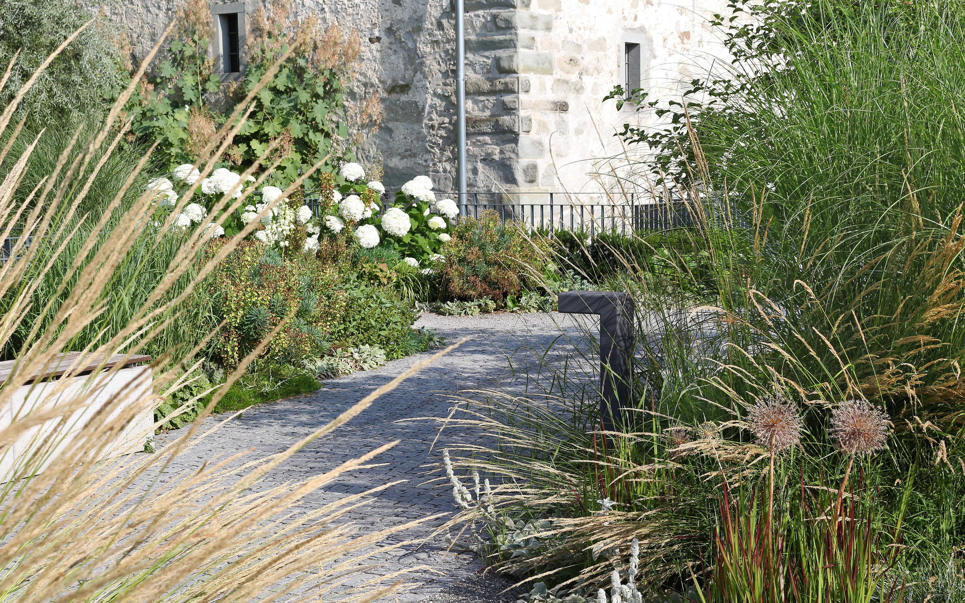 There is no limit to design options using paving stones and slabs. Pathway lined with Hydrangeas, shrubs and ornamental grasses
